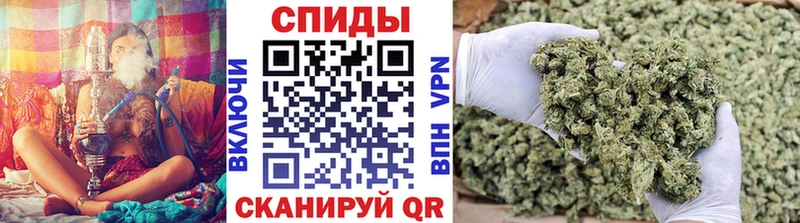 БУТИРАТ оксана Новосокольники