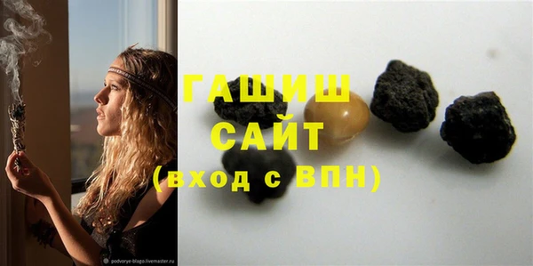шишки Сатка