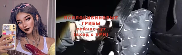 ГАЛЛЮЦИНОГЕННЫЕ ГРИБЫ Верхнеуральск