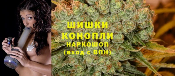 ГАЛЛЮЦИНОГЕННЫЕ ГРИБЫ Верхнеуральск