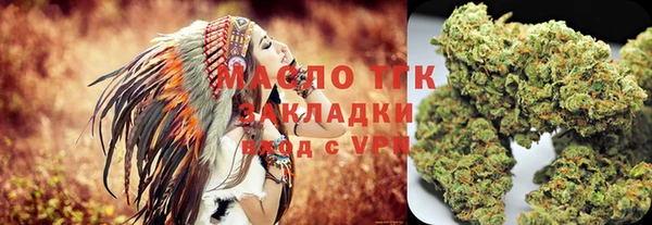 шишки Сатка