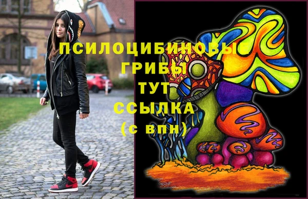 ГАЛЛЮЦИНОГЕННЫЕ ГРИБЫ Верхнеуральск
