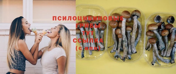 ГАЛЛЮЦИНОГЕННЫЕ ГРИБЫ Верхнеуральск
