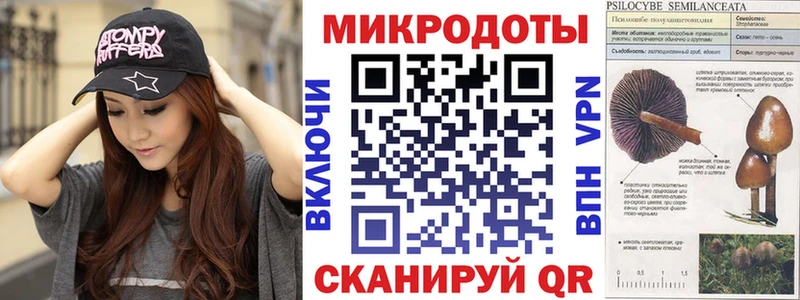МЕГА как войти  Новосокольники  Псилоцибиновые грибы Cubensis 