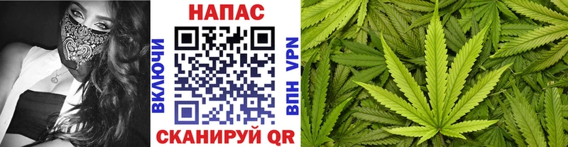площадка клад Новосокольники Конопля планчик